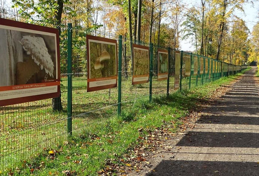 Śląski Ogród Botaniczny w Radzionkowie, Radzionków, Poland, Poland